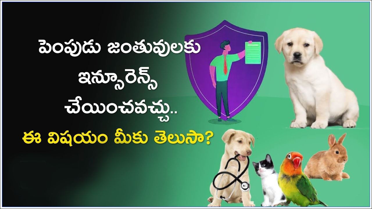 Pet Insurance: పెంపుడు జంతువులకు కూడా ఇన్సూరెన్స్ ఉంటుందా..? పూర్తి వివరాలు