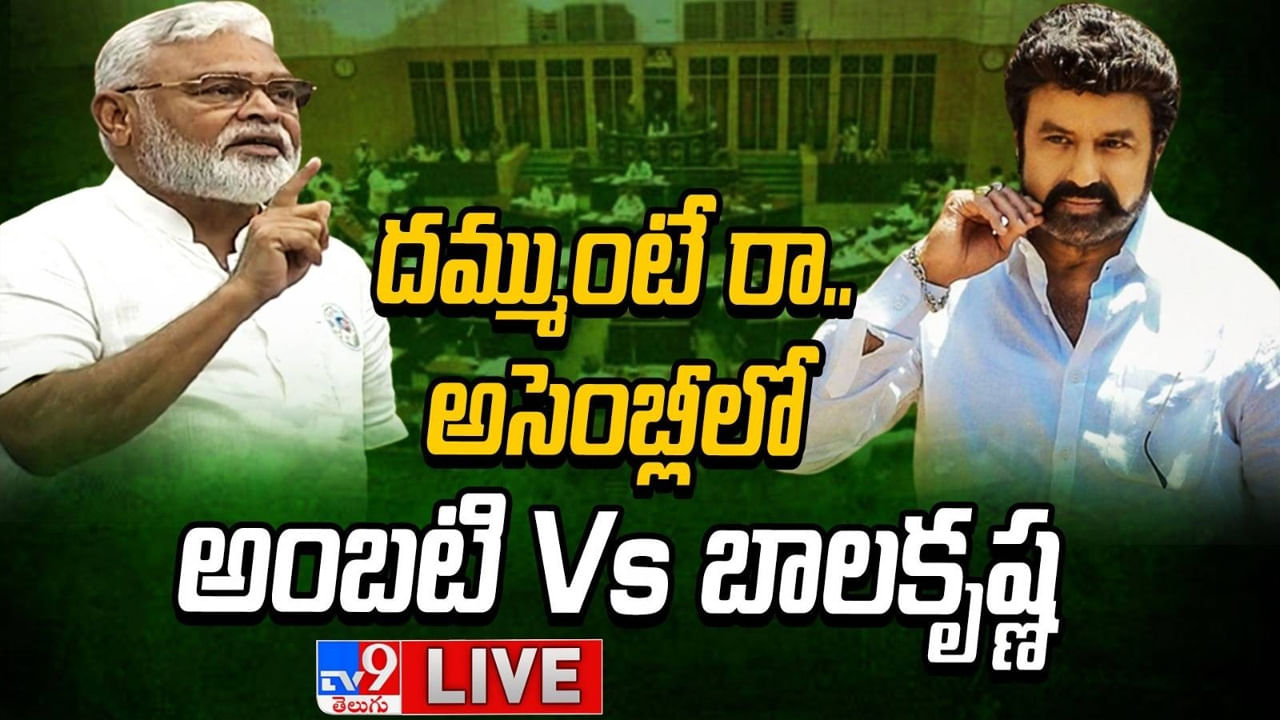 AP Assembly Session: ఏపీ అసెంబ్లీలో రచ్చ రచ్చ.. మీసం తిప్పిన బాలకృష్ణ.. దమ్ముంటే రావాలంటూ అంబటి సవాల్..