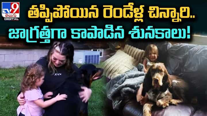 తప్పిపోయిన రెండేళ్ల చిన్నారి.. జాగ్రత్తగా కాపాడిన శునకాలు తప్పిపోయిన రెండేళ్ల చిన్నారి.. జాగ్రత్తగా కాపాడిన శునకాలు