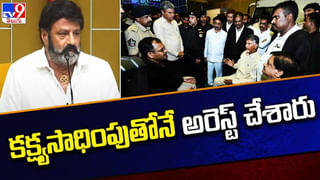 టీడీపీ కేంద్ర కార్యలయంలో నేతల కీలక భేటీ.. సమావేశానికి అధ్యక్షత వహించిన బాలయ్య