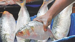 Manipur Violence: మళ్లీ భగ్గుమన్న మణిపూర్.. ప్రభుత్వ ఆస్తులను ధ్వంసం.. ఇంఫాల్‌లో కొనసాగుతోన్న కర్ఫ్యూ..