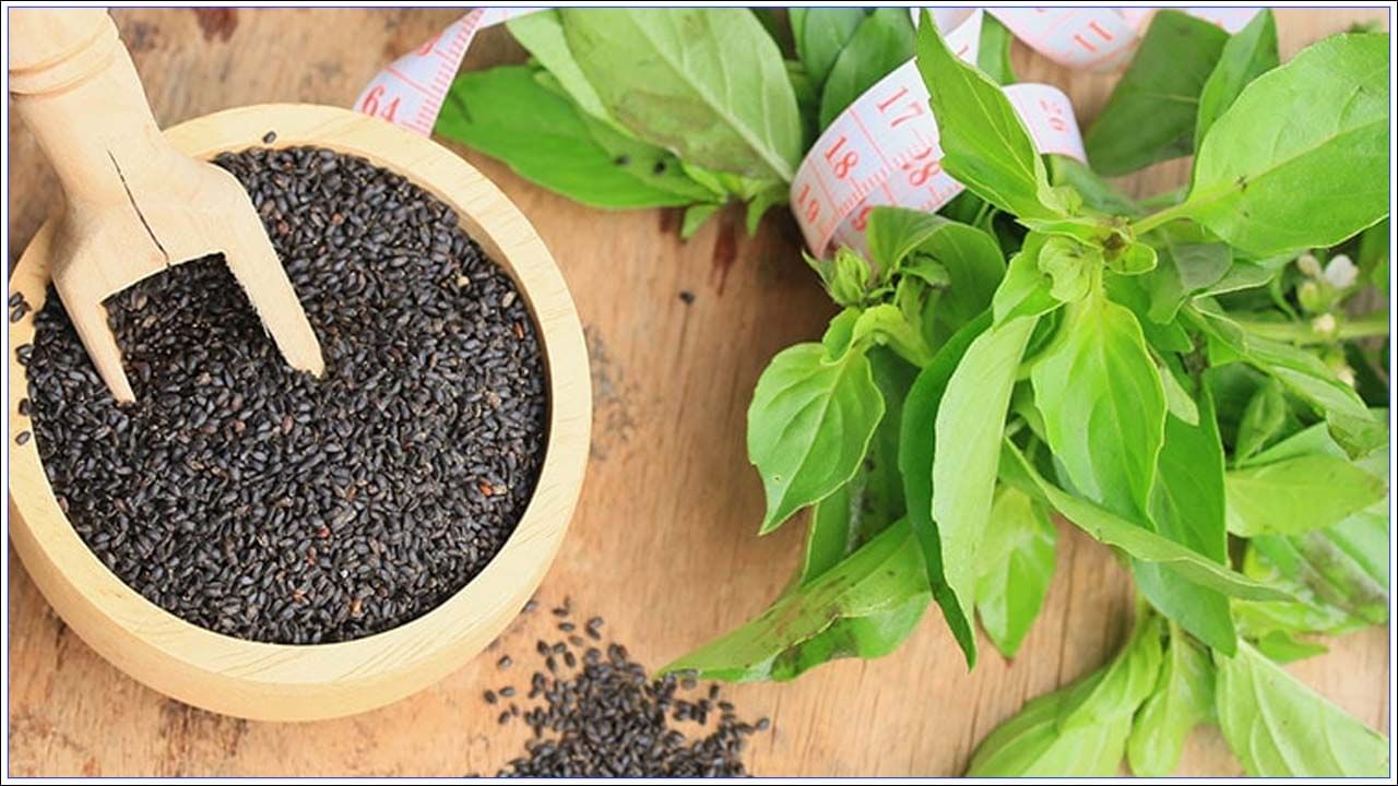 Basil Seed Benefits తులసి ఆకులు, విత్తనాలతో అద్భుతమైన ప్రయోజనాలు Telugu News Benefits of