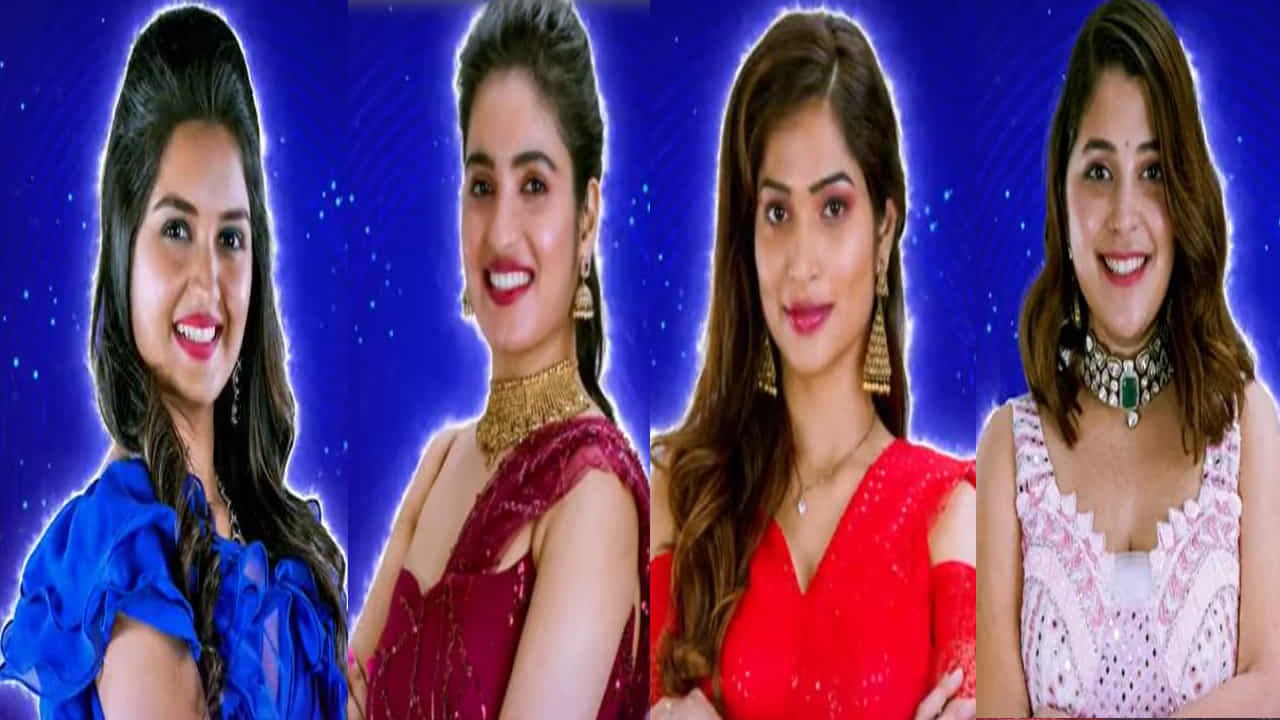 బుల్లితెర ప్రేక్షకులు ఎంతో ఆసక్తిగా ఎదురుచూస్తోన్న బిగ్బాస్ ఏడో సీజన్ ప్రారంభమైంది. 'ఉల్టా పుల్టా' అంటూ గత కొన్ని నెలలుగా ఈ రియాల్టీ షోపై ఆసక్తిపెంచిన నాగ్ అందుకు తగ్గట్టే కంటెస్టెంట్లను హౌస్లోకి పిలిచారు. సినిమాలు, సీరియల్స్లో నటించిన ప్రముఖ నటీనటులు కంటెస్టెంట్లుగా హౌస్లోకి అడుగుపెట్టారు.