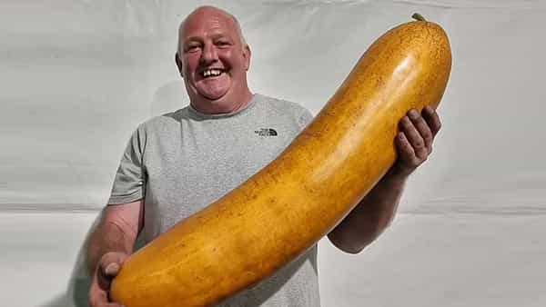 Biggest Cucumber: ప్రపంచంలోనే అతిపెద్ద దోసకాయ.. దీనిని కట్ చేస్తే వివాహపు విందులో ఆహుతులు మొత్తం తినొచ్చు...