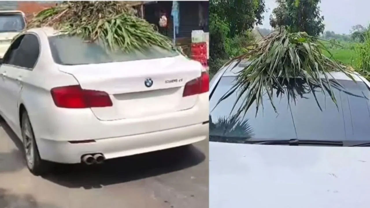 Viral Video: BMW కారులో పశువులకు మేత తీసుకెళ్తున్న రైతు.. వీడియో వైరల్..