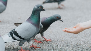 Asian Games: అరుణాచల్ క్రీడాకారులపై చైనా వివక్ష.. కౌంటర్ ఇచ్చిన భారత్