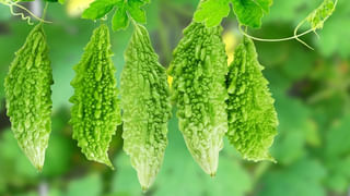Green Chilies Benefits: పచ్చి మిర్చితో లాభాలే కానీ నష్టాలు లేవండోయ్..! గుండెను ఆరోగ్యంగా ఉంచుతుంది!
