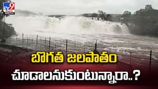 వేలానికి ప్రిన్సెస్‌ డయానా స్వెట్టర్‌.. ఎంతకు అమ్ముడుపోయిందో తెలుసా ??