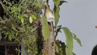 Hyderabad: రెస్టారెంట్‌లో ఎక్స్‌ట్రా పెరుగు అడిగి ప్రాణాలు పోగోట్టున్న యువకుడు.. ఐదుగురు అరెస్టు