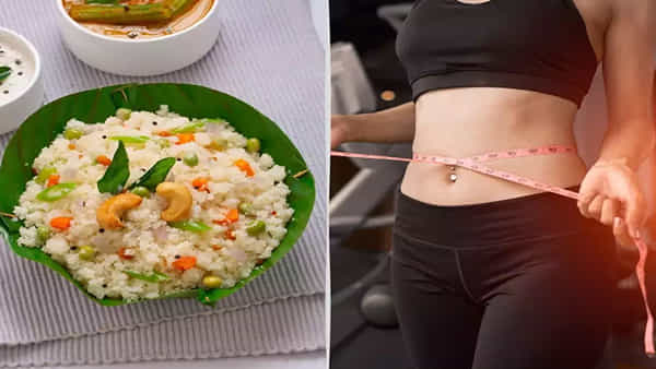 Weight Loss Breakfast: బెల్లీ ఫ్యాట్ మంచులా కరిగిపోతుంది..! బ్రేక్ఫాస్ట్లో ఈ మూడు ఆహారాలను తీసుకోవటం అలవాటు చేసుకోండి..
