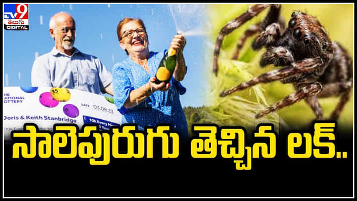 Lottery: సాలీడు తెచ్చిన అదృష్టం.. బంపర్ లాటరీ కొట్టేసిన మహిళ 30 ఏళ్లపాటు నెలకు ఏంటంటే.? Lottery: సాలీడు తెచ్చిన అదృష్టం.. బంపర్ లాటరీ కొట్టేసిన మహిళ 30 ఏళ్లపాటు నెలకు ఏంటంటే.?