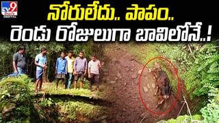 Viral Video: మటన్ అంటే అంతేమరి.. బిర్యానీలో మటన్ పీస్ రాలేదని ఘర్షణకు దిగిన అతిథి.. ఇరువర్గాలు కర్రలతో కొట్లాట..