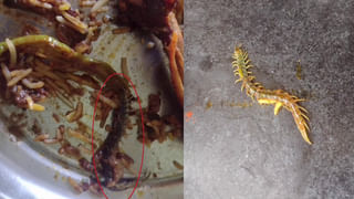 Andhra Pradesh: పండుగ పూట సరదాగా గడిపేందుకు వెళ్లారు.. చివరికి ఊహించని విషాదం