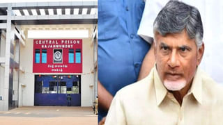CBN Arrest: చంద్రబాబు బెయిల్‌ పిటిషన్‌ విచారణ వాయిదా.. సీఐడీకి కీలక ఆదేశాలు జారీ..