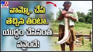 Cheetah in Tirumala: తిరుమలలో పట్టుబడిన ఆరో చిరుత.. లక్షితపై దాడిచేసిన చోటే..!