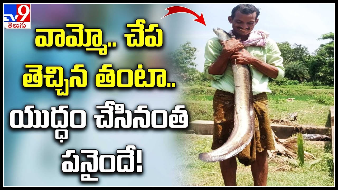 Rare Fish: వామ్మో.. చేప తెచ్చిన తంటా.. యుద్ధం చేసినంత పనైందే..! వీడియో.