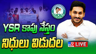 CM KCR: ఇక్కడి దద్దమ్మ రాజకీయ నాయకులే తెలంగాణ శత్రువులు..: సీఎం కేసీఆర్‌.