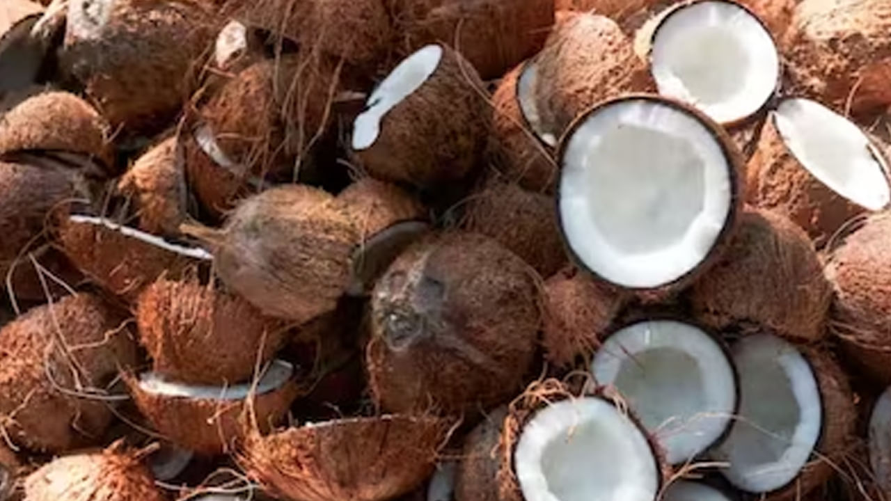 Coconut Vastu Tips హిందూ సాంప్రదాయంలో కొబ్బరికి విశిష్ట స్థానం