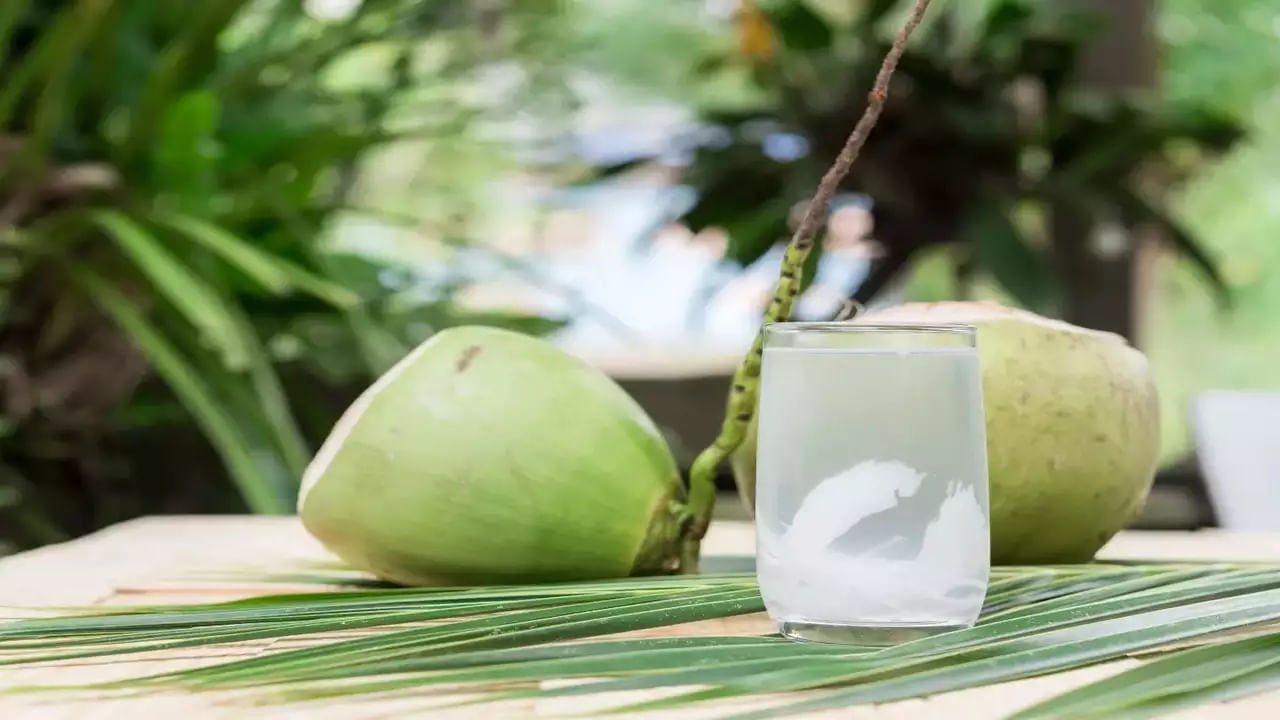 Coconut Water Benefits: కొబ్బరి నీళ్లను డైలీ తాగుతున్నారా.. బాడీలో ఏం జరుగుతుందో మీకు తెలుసా!!