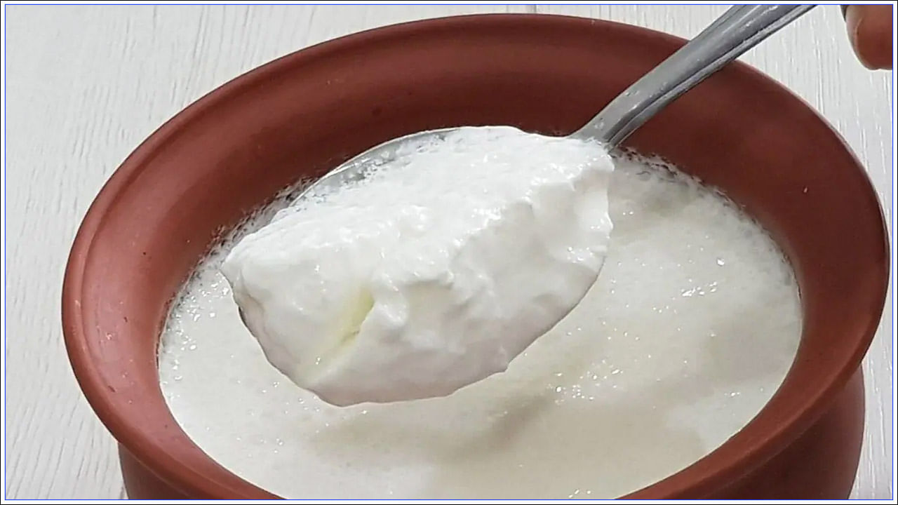 Curd Health Benefits: ప్రతిరోజు పెరుగు తినడం ఆరోగ్యానికి మంచిదేనా?