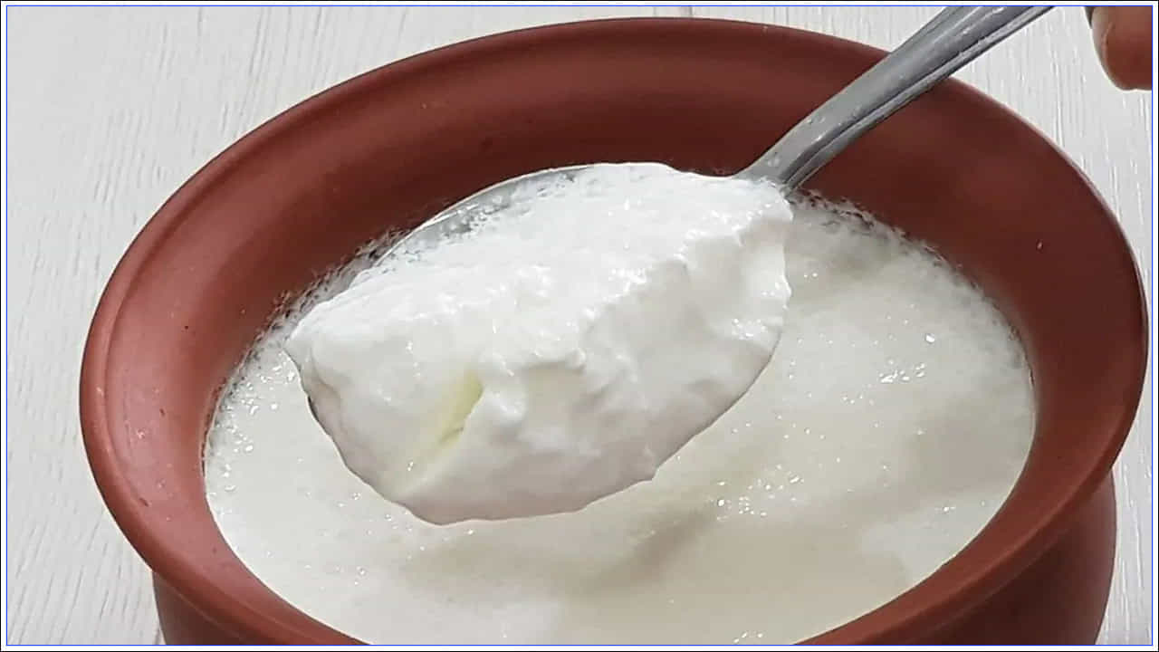 Curd Health Benefits: ప్రతిరోజు పెరుగు తినడం ఆరోగ్యానికి మంచిదేనా?