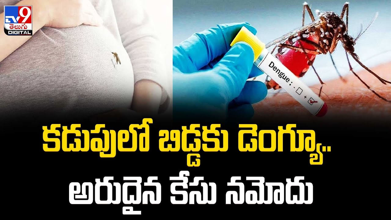 Dengue Baby: కడుపులో బిడ్డకు డెంగ్యూ.. కోల్‌కతాలో అరుదైన కేసు నమోదు.