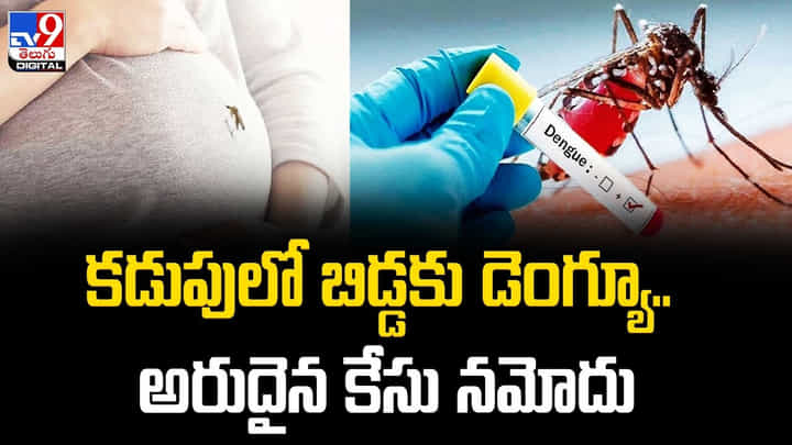 Dengue Baby: కడుపులో బిడ్డకు డెంగ్యూ.. కోల్కతాలో అరుదైన కేసు నమోదు. Dengue Baby: కడుపులో బిడ్డకు డెంగ్యూ.. కోల్కతాలో అరుదైన కేసు నమోదు.