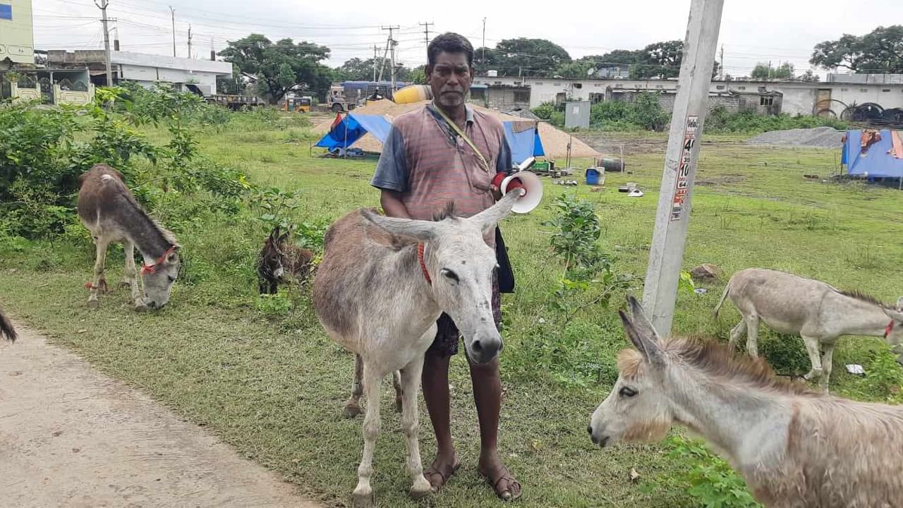 Donkey Milk: పోషకాలతో కూడిన గాడిద పాలకు యమ గిరాకీ.. లీటరు పాలు వేల ఖరీదు.. ఊరూరా తిరుగుతూ అమ్మకాలు..