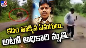 గిరిజనులను గడగడలాడిస్తున్న గజరాజులు.. అటవీ అధికారి మృతి గిరిజనులను గడగడలాడిస్తున్న గజరాజులు.. అటవీ అధికారి మృతి
