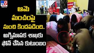 బీఎండబ్ల్యూలో పశువులకు మేత తీసుకెళ్తున్న రైతు.. వీడియోపై క్రేజీ కామెంట్స్