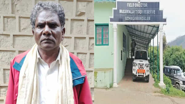 Farmer Kills Tiger : ఆవును చంపి తినేసిన పులి.. పగతో రగిలిపోయిన రైతు ఏం చేసాడో తెలిస్తే షాక్ అవుతారు..