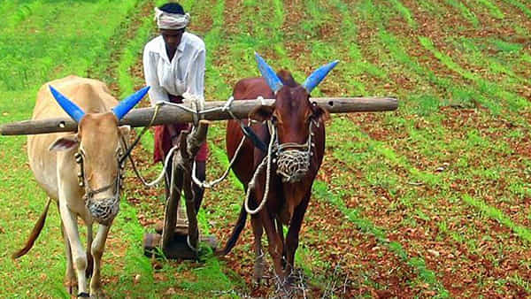 Telangana: ఆ విషయంలో మారని బ్యాంకుల తీరు .. అవస్థలు పడుతున్న అన్నదాతలు