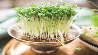 Stress Free: ఈ అలవాట్లు మిమ్మల్ని ఒత్తిడి లేకుండా చేస్తాయి.. చిట్కాలను అనుసరించండి!