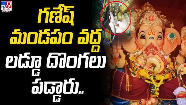 గణపతి చేతిలో లడ్డూను ఎత్తుకెళ్ళిన దొంగ.. సీసీటీవీ కెమెరాలో రికార్డు గణపతి చేతిలో లడ్డూను ఎత్తుకెళ్ళిన దొంగ.. సీసీటీవీ కెమెరాలో రికార్డు