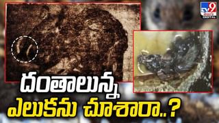 Chandrayan Scientists: చంద్రయాన్-3 సక్సెస్‌లో ముగ్గురు తెలుగు మొనగాళ్లు..