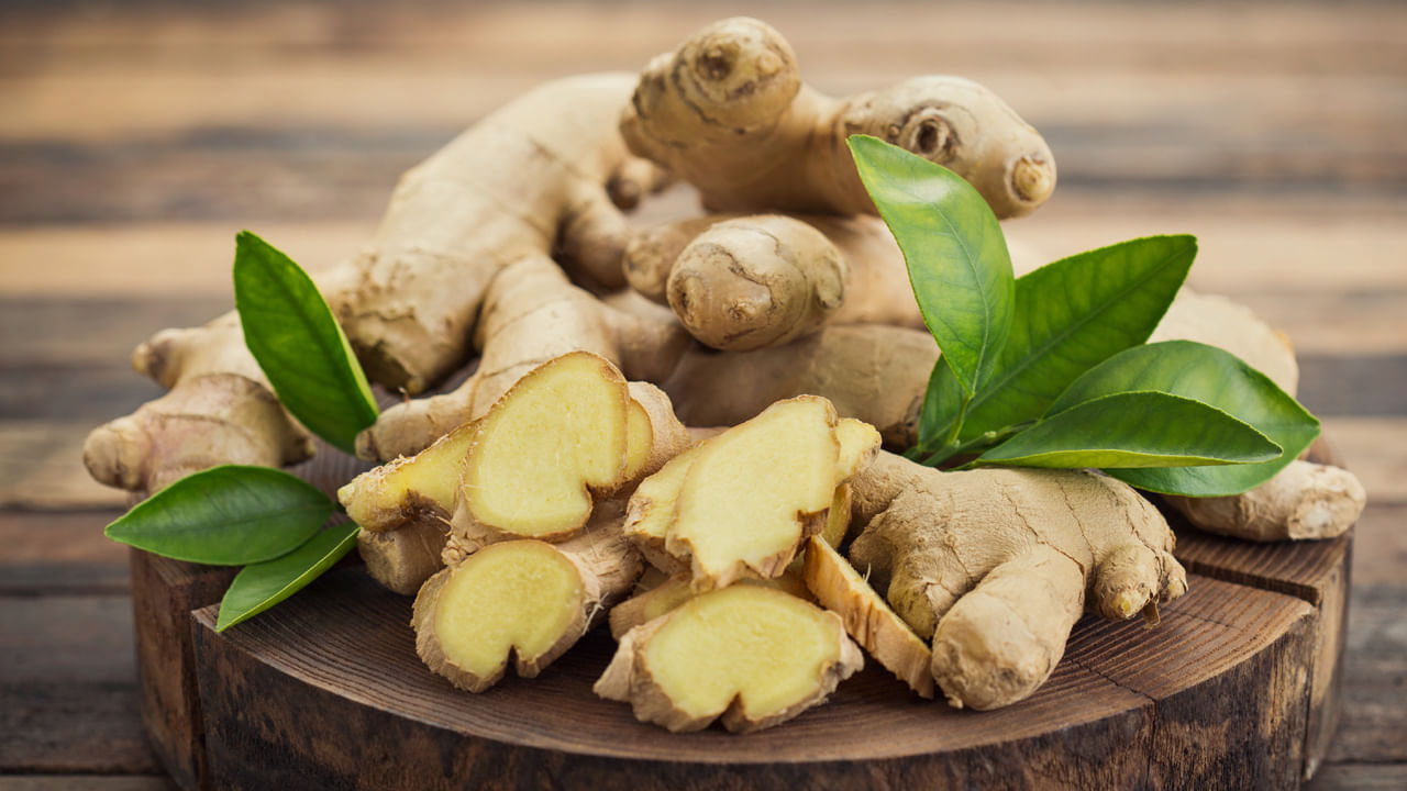 Health Benefits of Ginger: అల్లంలో ఎన్నో పోషకాలు, ఔషధ గుణాలు దాగున్నాయి. అందుకే, అల్లంను ఏ విధంగానైనా ఆహారంలో భాగం చేసుకోవాలని వైద్య నిపుణులు సూచిస్తున్నారు. సాధారణంగా అల్లం మన వంటగదిలో ఒక ముఖ్యమైన భాగం.. దాని సహాయంతో మనం అనేక రకాల వంటకాల రుచిని పెంచవచ్చు. అయితే ఇది ఏ ఆయుర్వేద ఔషధం కంటే తక్కువ కాదు. దానిని పచ్చిగా నమలి తినొచ్చు.. అల్లం రసం తాగొచ్చు.. సాధారణ టీలో, హెర్బల్ టీతో తీసుకోవచ్చు.. ఇది మన ఆరోగ్యానికి చాలా మేలు చేస్తుంది. అల్లంలో జింజెరాల్ అనే సమ్మేళనం చాలా ప్రయోజనకరంగా ఉంటుంది. అంతే కాకుండా, ఇందులో విటమిన్ బి3, విటమిన్ బి6, విటమిన్ సి, ఐరన్, పొటాషియం, మెగ్నీషియం, పొటాషియం, జింక్, ఫోలేట్ ఉన్నాయి. ఫోలేట్, రైబోఫ్లావిన్, నియాసిన్ వంటి పోషకాలు లభిస్తాయి. అల్లం తినడం వల్ల కలిగే ప్రయోజనాలేంటో తెలుసుకుందాం..