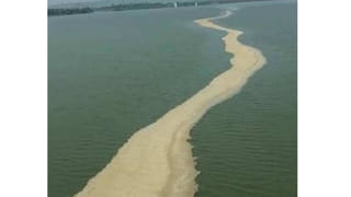 Python: 10 అడుగుల కొండ చిలువ హల్ చల్.. సురక్షితంగా పట్టుకుని అడవిలో వదిలిన యువకులు