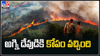 Peacock Fire: నోటి నుంచి నిప్పులు కక్కుతున్న నెమలి.. వీడియో చూస్తే షాక్‌ అవ్వాల్సిందే..!