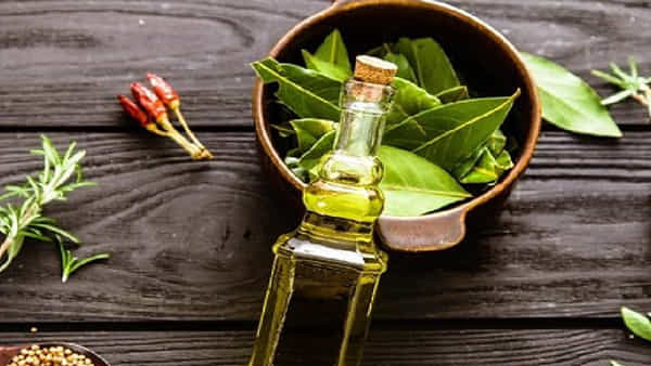 Hair Fall Oil: జుట్టు రాలడాన్ని 7 రోజుల్లో నివారించే హెయిర్ ఆయిల్.. ఇంట్లోనే ఇలా తయారు చేసుకోండి