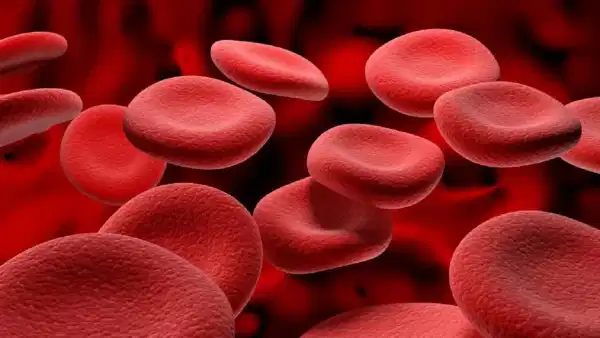 Hemoglobin Foods: హిమోగ్లోబిన్ తక్కువగా ఉందా? అయితే ఈ ఆహారాలను మీ డైట్ లో చేర్చుకోండి!
