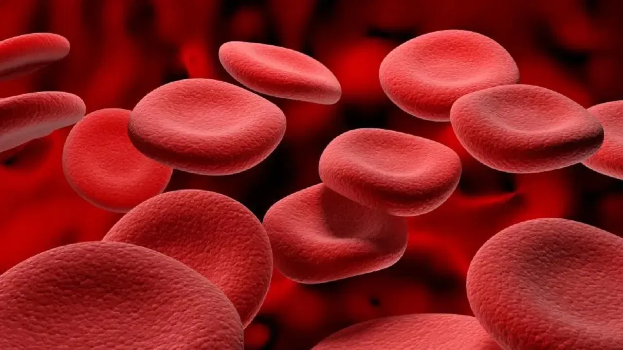 Hemoglobin Foods: హిమోగ్లోబిన్ తక్కువగా ఉందా? అయితే ఈ ఆహారాలను మీ డైట్ లో చేర్చుకోండి!