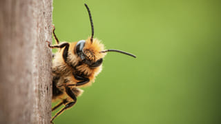 Heartwarming: హ్యాట్సాఫ్ చిట్టితల్లి.. క్యాన్సర్ పేషెంట్ కోసం ఈ చిన్నారి ఏం చేసిందో తెలిస్తే ఫిదా అయిపోతారు..
