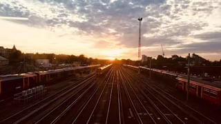 Viral Video: భారీ కప్ప వీడియో వైరల్.. నెటిజన్లు షాక్.. చైనాకు ఎగుమతి చేస్తే గిట్టుబాటు అంటూ కామెంట్