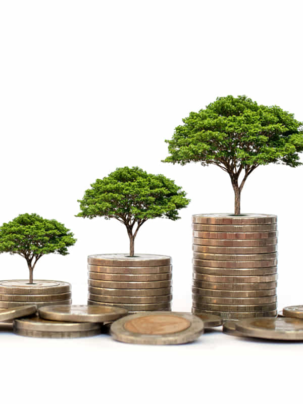 Investment Planning: తక్కువ మొత్తం పొదుపుతో అధిక ఆదాయం.. భారతదేశంలో టాప్ పెట్టుబడి పథకాలు ఇవే..!