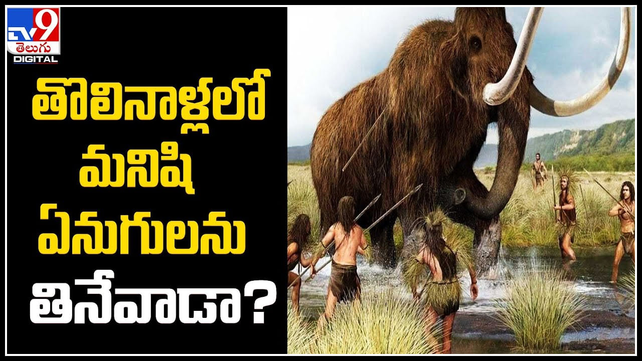 Viral: తొలినాళ్లలో మనిషి ఏనుగులను తినేవాడా..? వేటకు వాడిన ఆయుధాలపై అధ్యయనం..