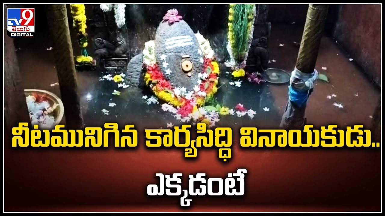 Ganesh Idol: నీటమునిగిన కార్యసిద్ధి వినాయకుడు.. ఎక్కడంటే.? ఎందుకంటే.? వీడియో..