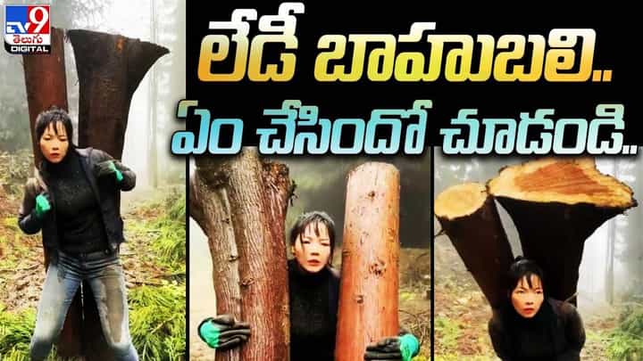 రెండు బరువైన దుంగలను మోసుకెళ్తున్న యువతి !! రియల్ బాహుబలి అంటున్న నెటిజన్లు రెండు బరువైన దుంగలను మోసుకెళ్తున్న యువతి !! రియల్ బాహుబలి అంటున్న నెటిజన్లు