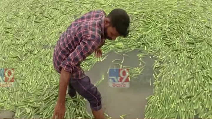 Viral Video: కేజీ 2 రూపాయలే అనే సరికి కడుపు మండింది.. 5 టన్నుల బెండకాయలను.. Viral Video: కేజీ 2 రూపాయలే అనే సరికి కడుపు మండింది.. 5 టన్నుల బెండకాయలను..