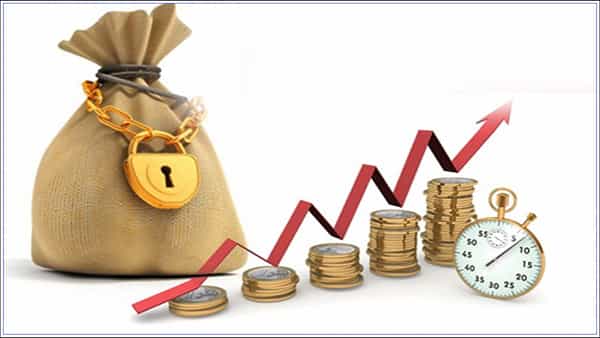 Long Term Investment: ఎఫ్డీలో లాంగ్ టర్మ్ ఇన్వెస్ట్మెంట్ చేస్తున్నారా? ఈ విషయాలు తెలుసుకోండి!