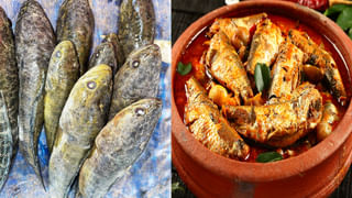 Weight Loss Chicken: ఈ చికెన్‌ రోజుకు రెండు పీస్‌లు తిన్నారంటే.. మీ బరువు నెల రోజుల్లోనే..